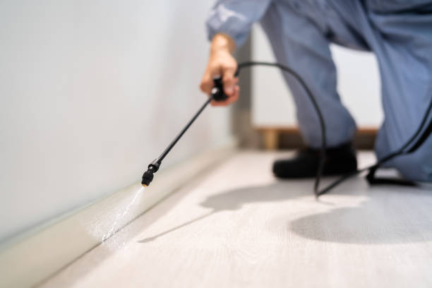 Bed Bug Pre-Treatment Preparation Assessment in Lacoochee