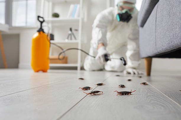 Post-Treatment Bed Bug Interceptor Monitoring in Lacoochee